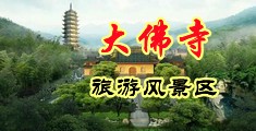 逼逼逼黄色插中国浙江-新昌大佛寺旅游风景区